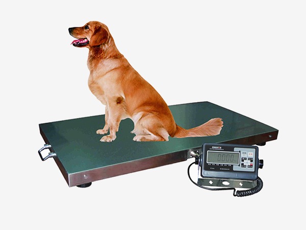 便攜式動(dòng)物秤